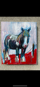 Draft horse study